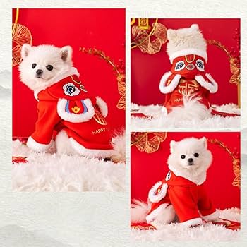 【値下げ　美品】犬用衣服 七五三　2点セット 値下げ 美品】犬用衣服 七五三 2点セット 値下げ美品】犬用衣服